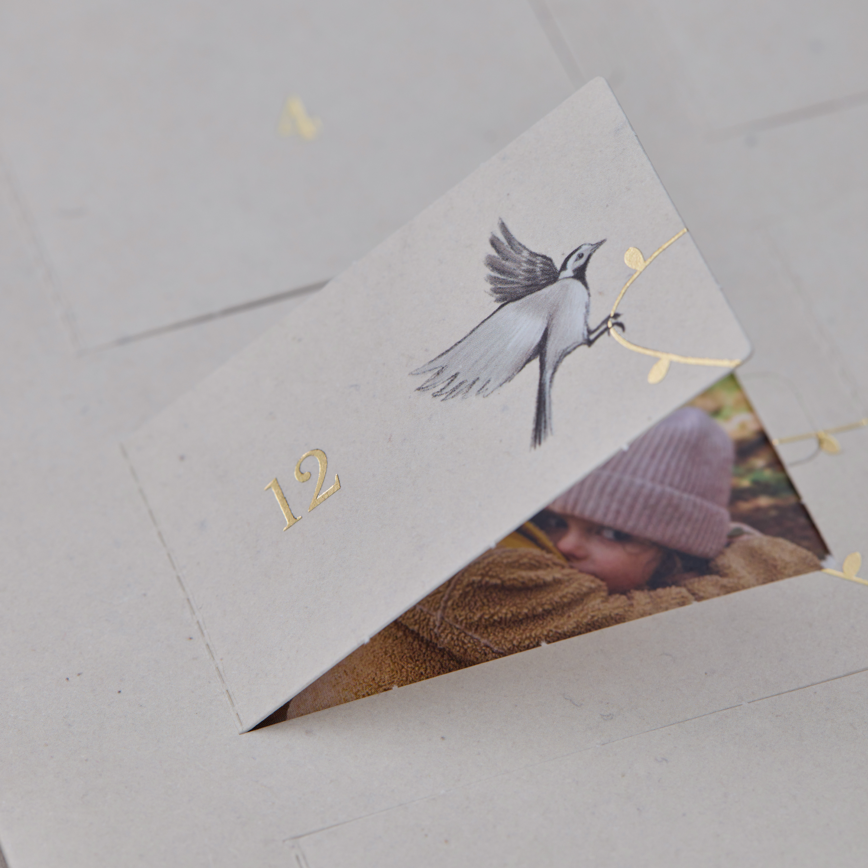 Adventskalender Tierisches Fest