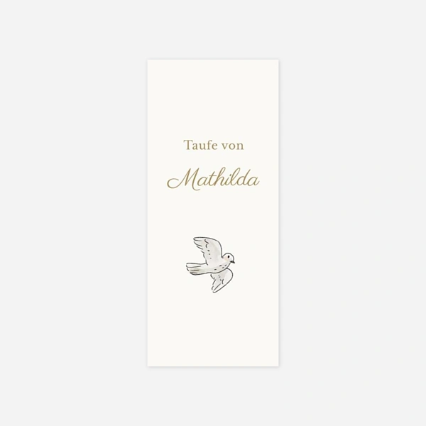 Arche der Wunderwelt 