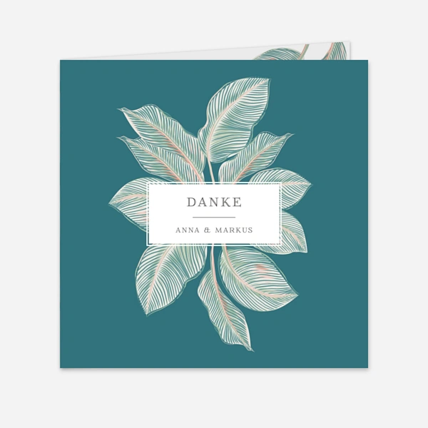 Calathea