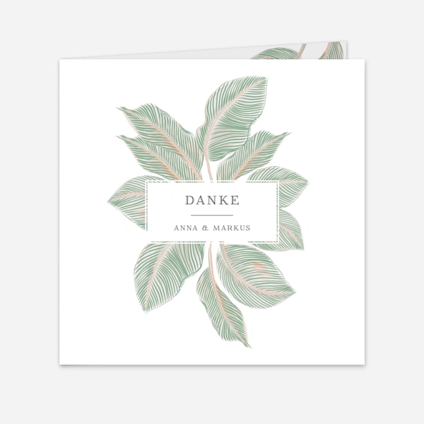 Calathea