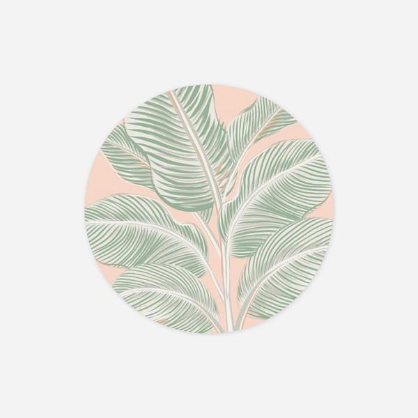 Calathea