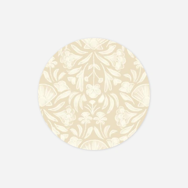 Elegant Shell