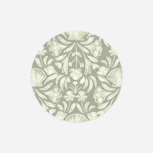 Elegant Shell