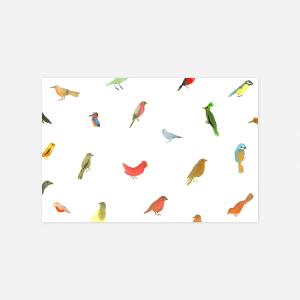 Hübsche Vögel