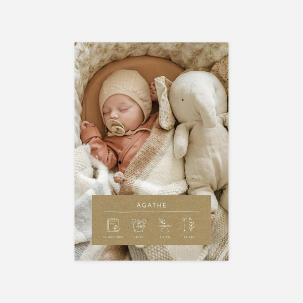 Kartusche Piktogramme