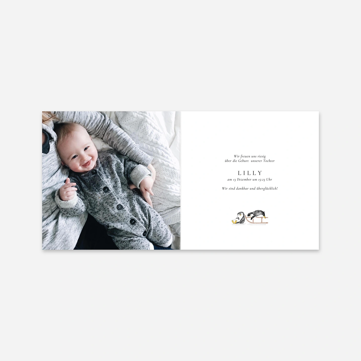 Geburtskarte Kleine Eisscholle