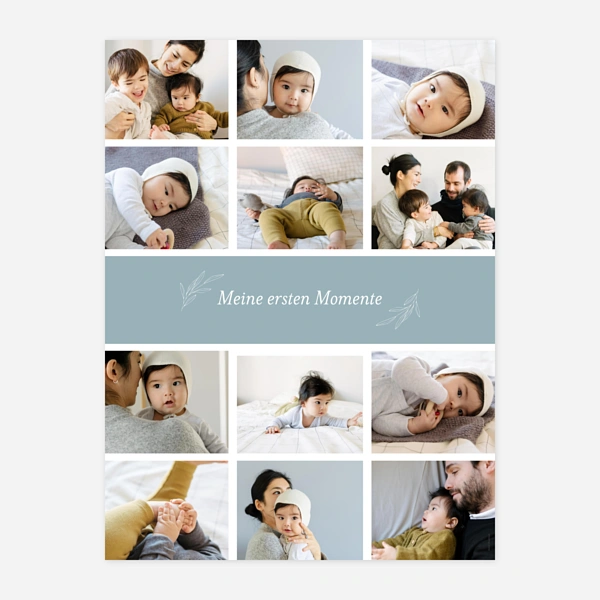 Kleiner Sprössling 12 Fotos