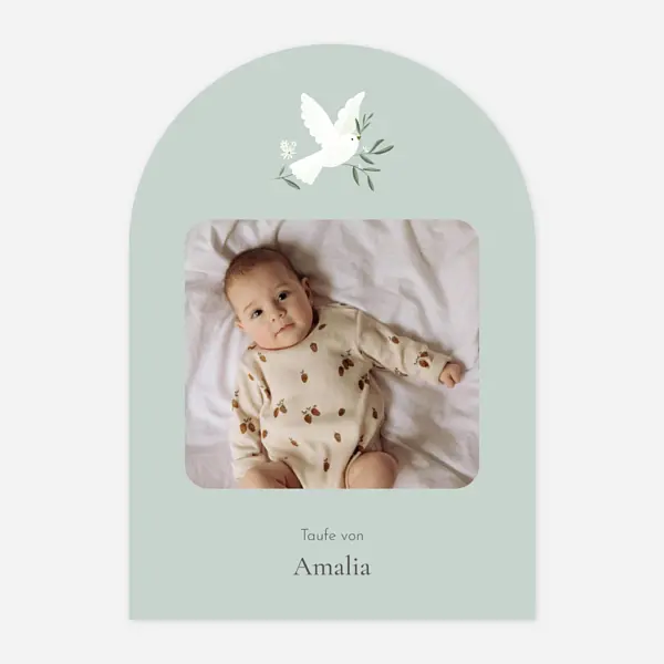 Kleines Täubchen Foto