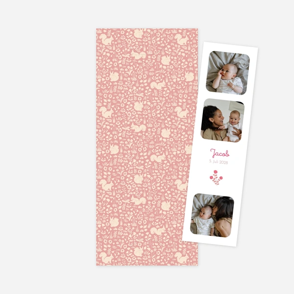 Liberty Eichhörnchen