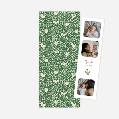 Liberty Eichhörnchen