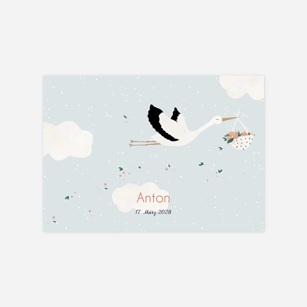 Storch