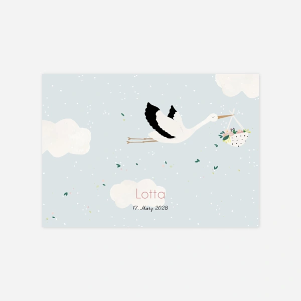 Storch