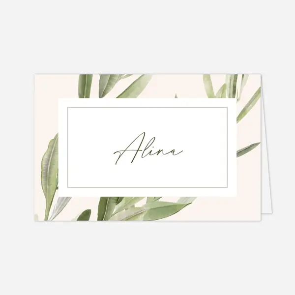 Unter den Olivenbäumen