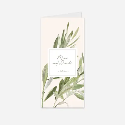 Unter den Olivenbäumen