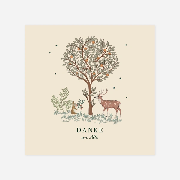 Weihnachtsgeschichte