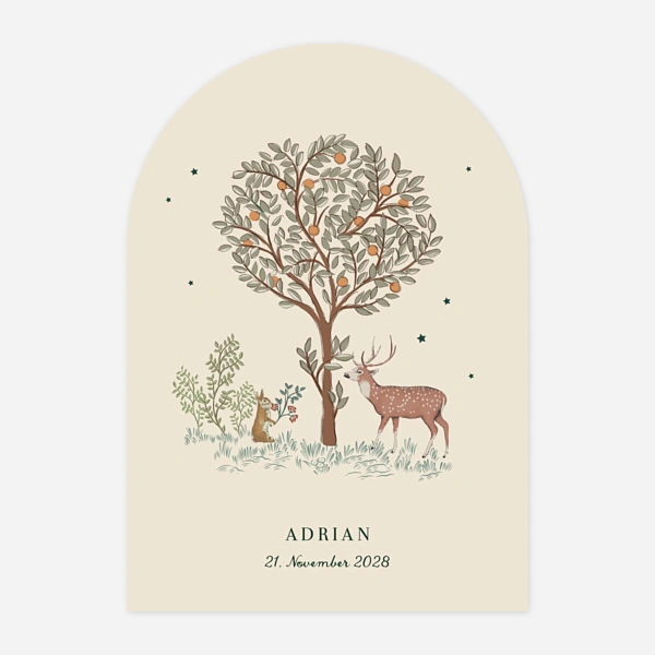 Weihnachtsgeschichte