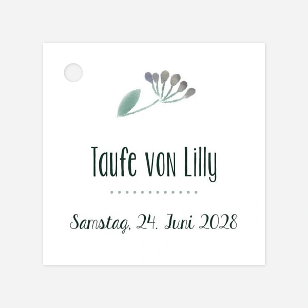 Wildblumen 