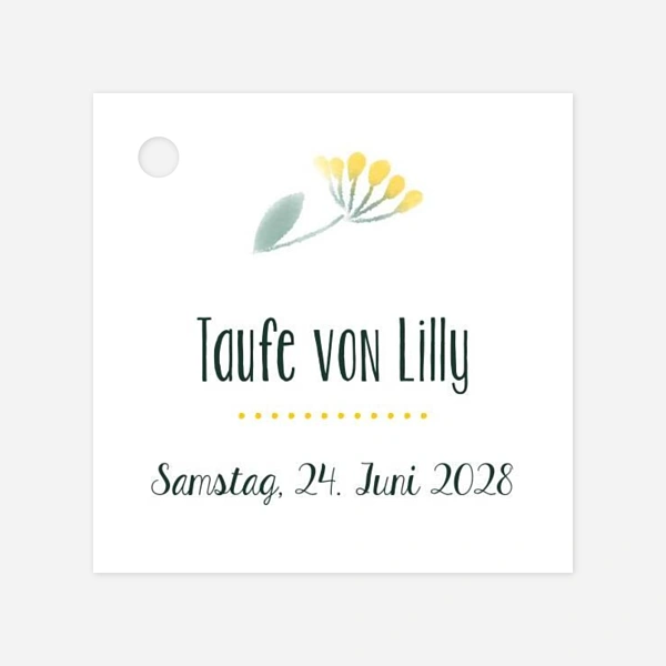 Wildblumen 
